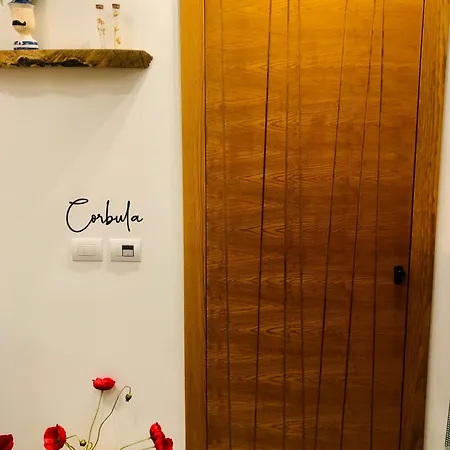 招待所 S'accabbadora